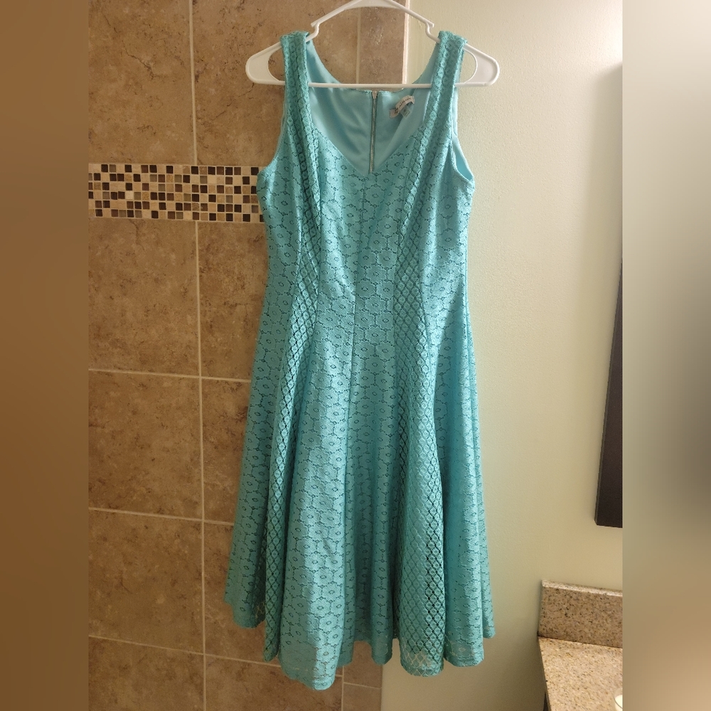 Never worn Danny and Nicole size 10 women's dress